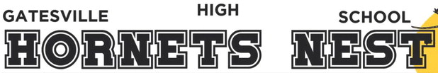 Alt Text for Image