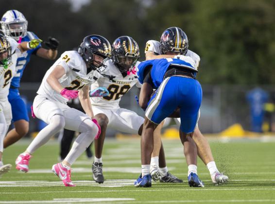 Hornets put the sting on Cadets