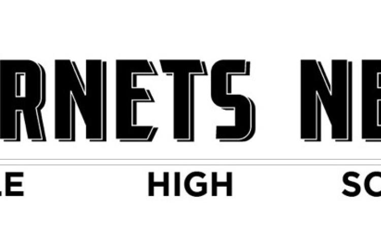 Alt Text for Image